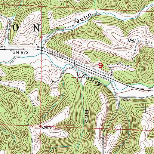 Topographic Map of Bob Hollow, MO
