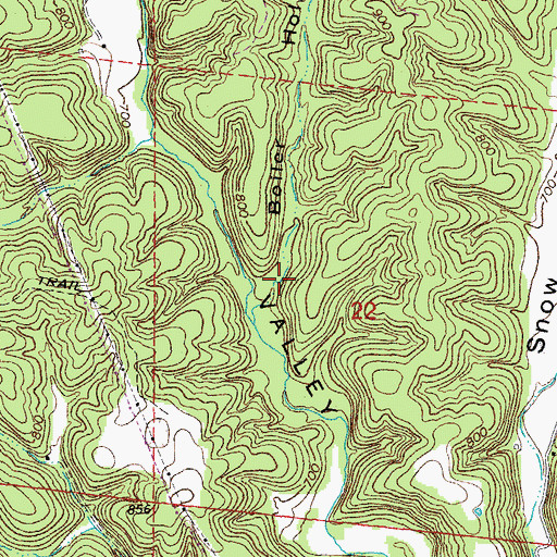 Topographic Map of Boiler Hollow, MO