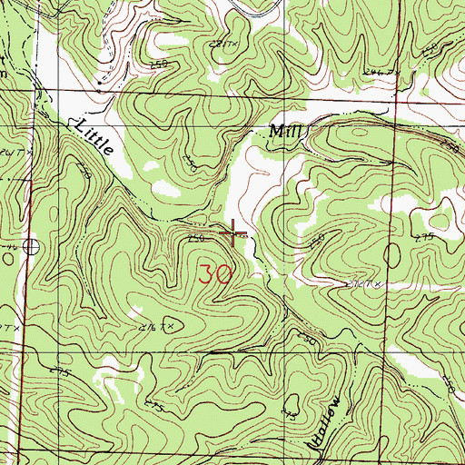 Topographic Map of Bone Hollow, MO