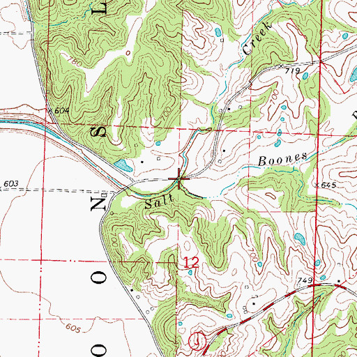 Topographic Map of Boones Branch, MO