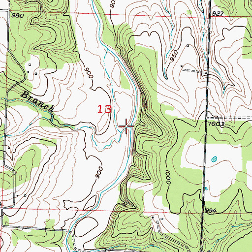 Topographic Map of Boston Branch, MO