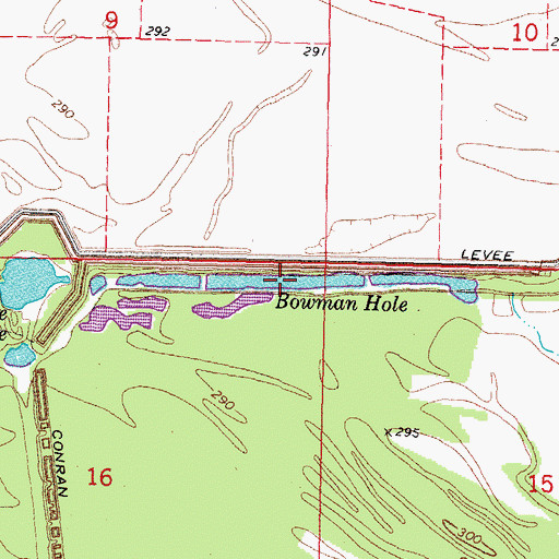 Topographic Map of Bowman Hole, MO