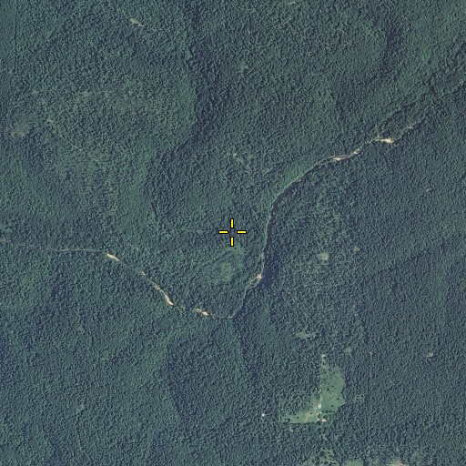 Aerial/Satellite Image of Bradford Cave Hollow, MO