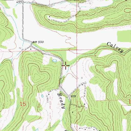 Topographic Map of Brady Creek, MO