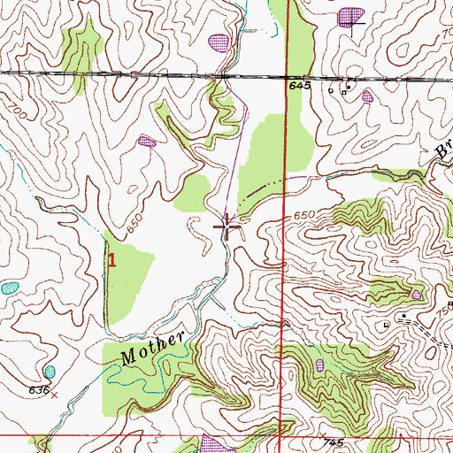 Topographic Map of Braggs Branch, MO