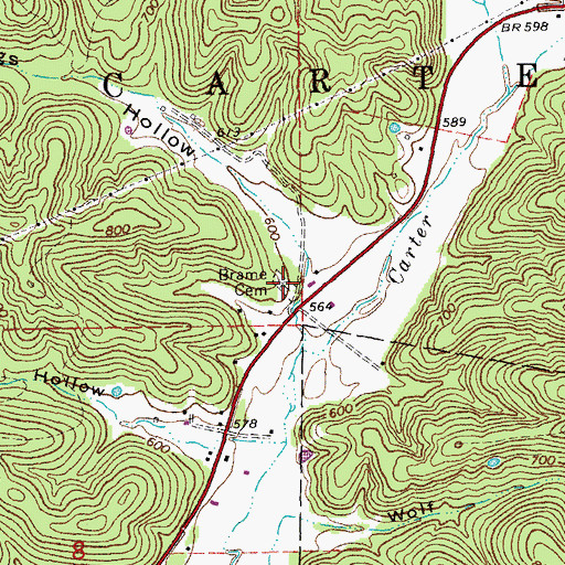 Topographic Map of Brame Cemetery, MO