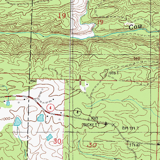 Topographic Map of Duckett Cemetery, AR
