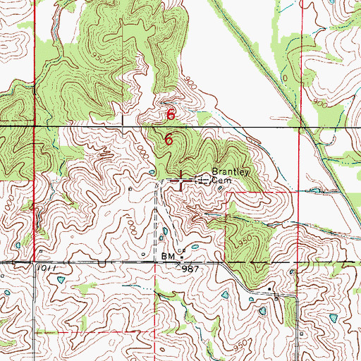 Topographic Map of Brantley Cemetery, MO