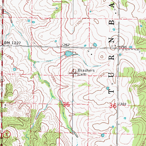 Topographic Map of Brashers Cemetery, MO