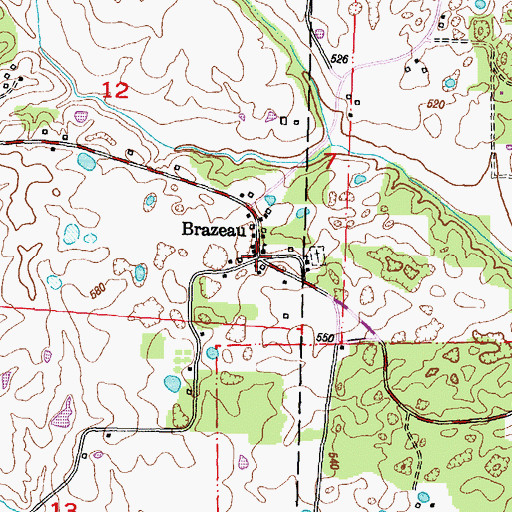 Topographic Map of Brazeau, MO