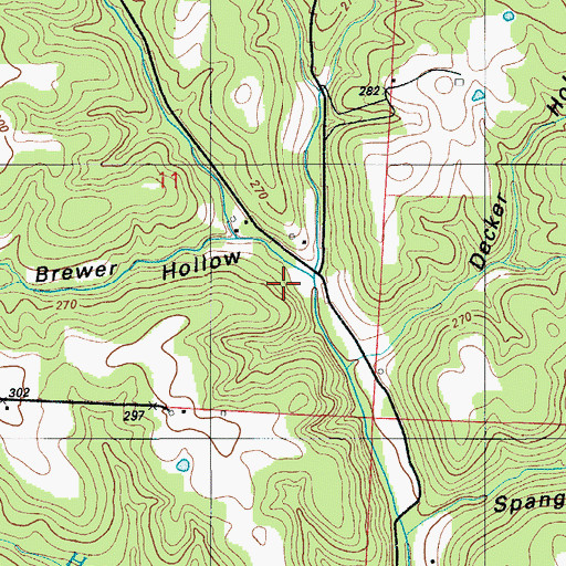 Topographic Map of Brewer Hollow, MO