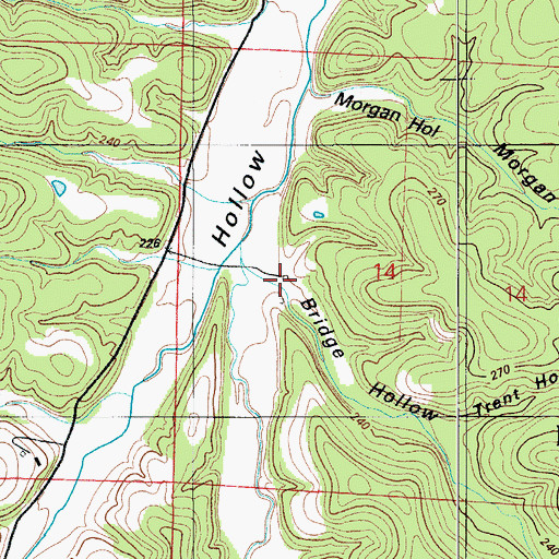 Topographic Map of Bridge Hollow, MO