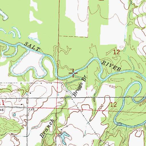 Topographic Map of Briggs Branch, MO