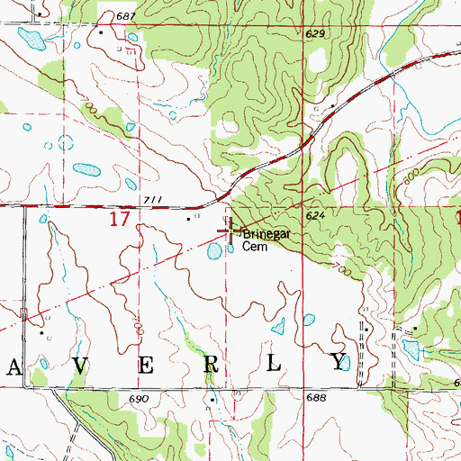 Topographic Map of Brinegar Cemetery, MO