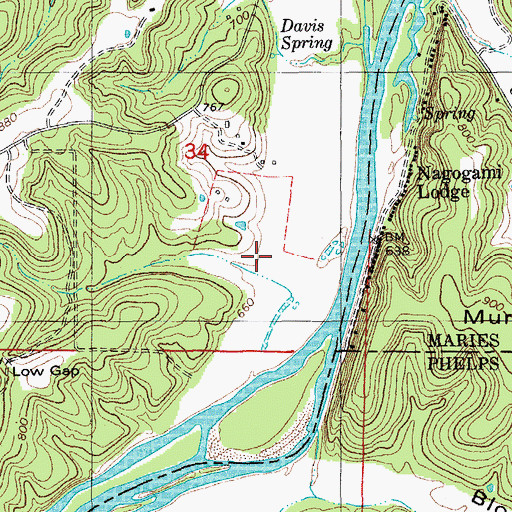 Topographic Map of Brison Hollow, MO