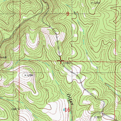 Topographic Map of Brissel Ridge, MO
