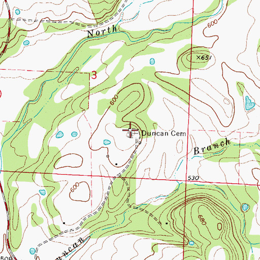 Topographic Map of Duncan Cemetery, AR
