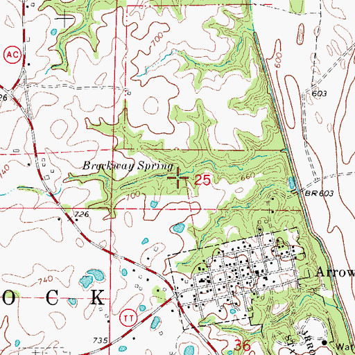 Topographic Map of Brockway Spring, MO