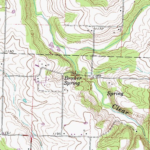 Topographic Map of Brower Spring, MO