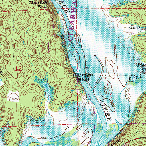 Topographic Map of Brown Bluff, MO