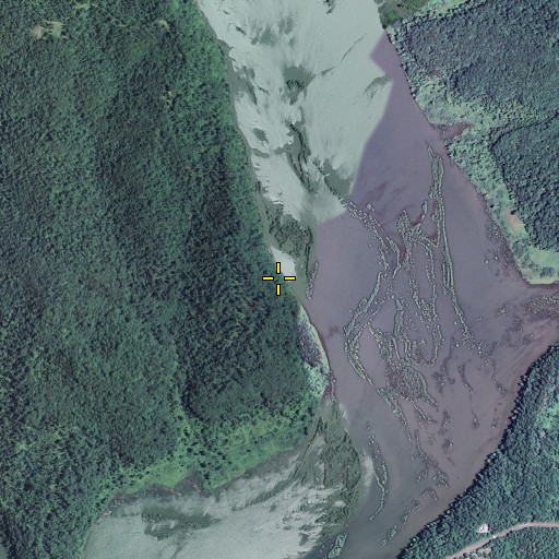 Aerial/Satellite Image of Brown Bluff, MO