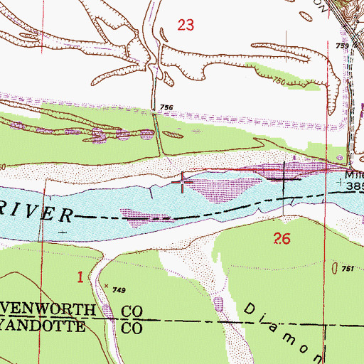 Topographic Map of Brown Branch, MO