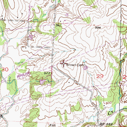 Topographic Map of Brown Cemetery, MO