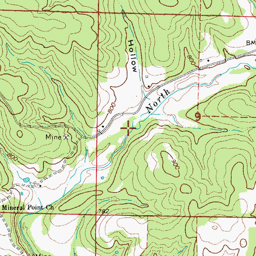 Topographic Map of Brown Hollow, MO