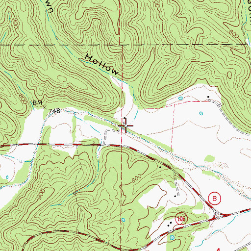 Topographic Map of Brown Hollow, MO