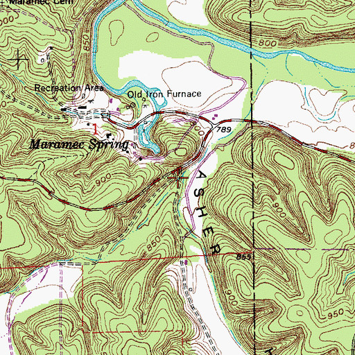 Topographic Map of Brown Hollow, MO