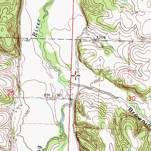 Topographic Map of Browning Hollow, MO