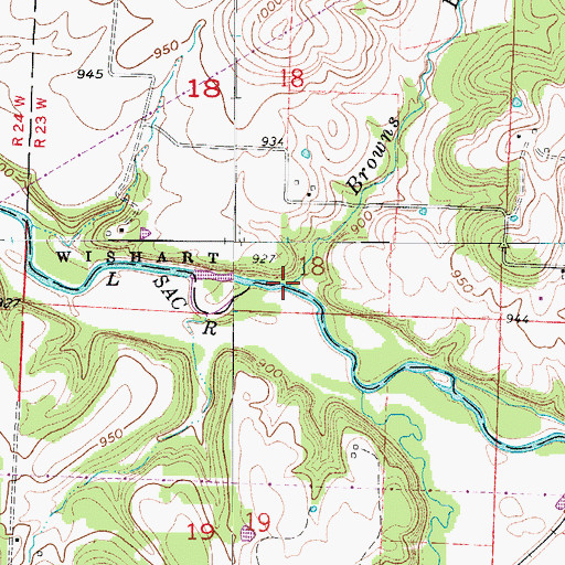 Topographic Map of Browns Branch, MO