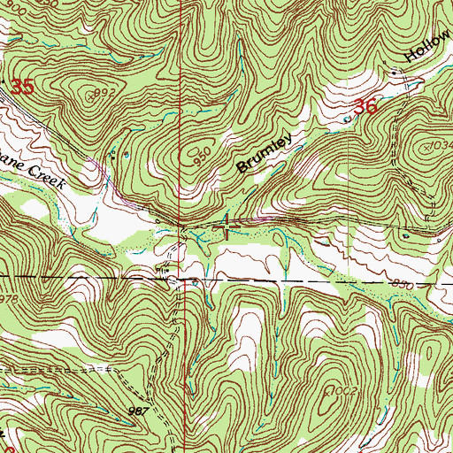 Topographic Map of Brumley Hollow, MO