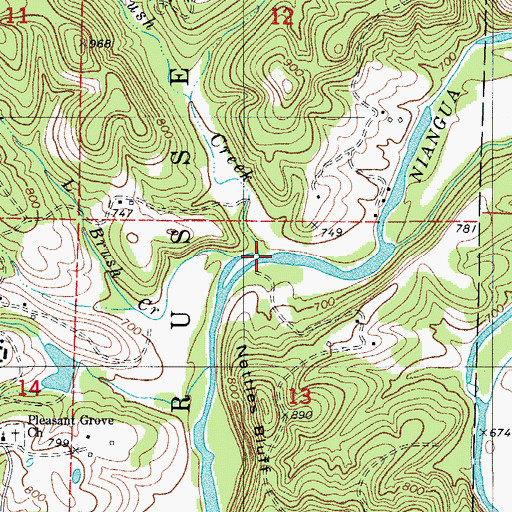 Topographic Map of Brush Creek, MO