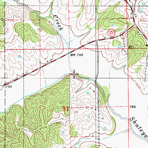 Topographic Map of Brush Creek, MO