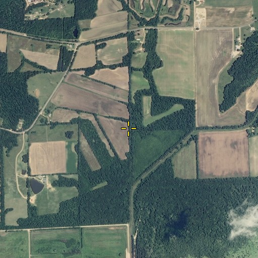 Aerial/Satellite Image of Brush Creek, MO
