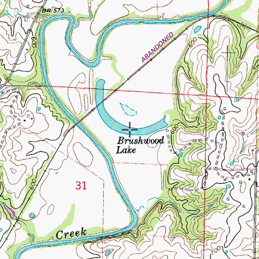 Topographic Map of Brushwood Lake, MO