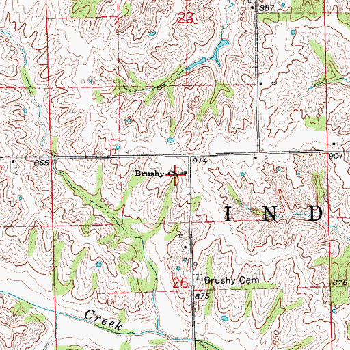 Topographic Map of Brushy Church, MO