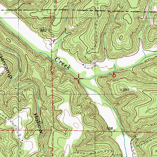 Topographic Map of Brushy Creek, MO