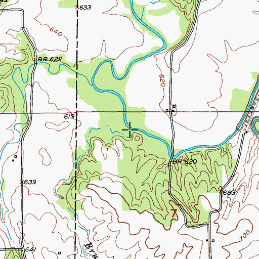 Topographic Map of Brushy Creek, MO