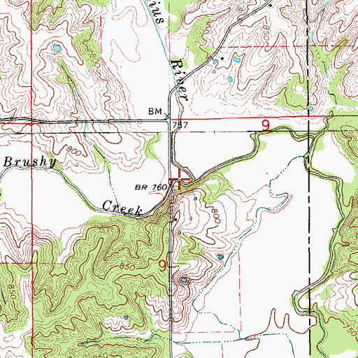 Topographic Map of Brushy Creek, MO