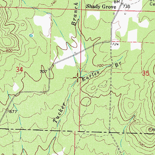 Topographic Map of Earles Branch, AR