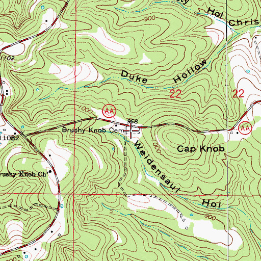 Topographic Map of Brushy Knob Cemetery, MO