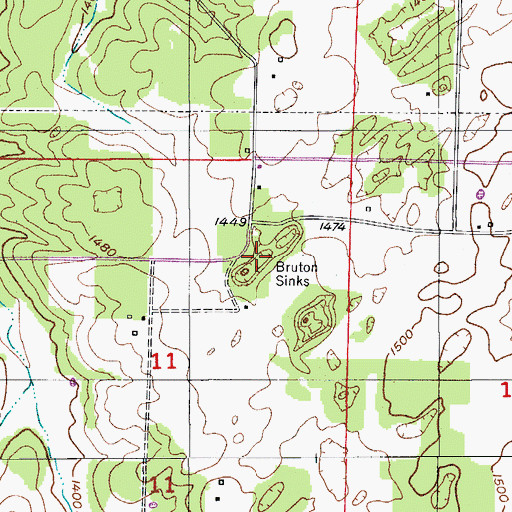 Topographic Map of Bruton Sinks, MO