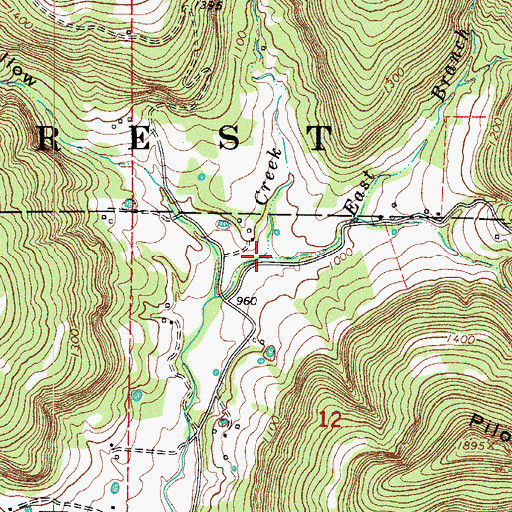 Topographic Map of East Branch, AR