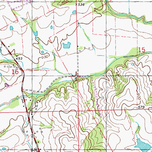 Topographic Map of Buck Branch, MO