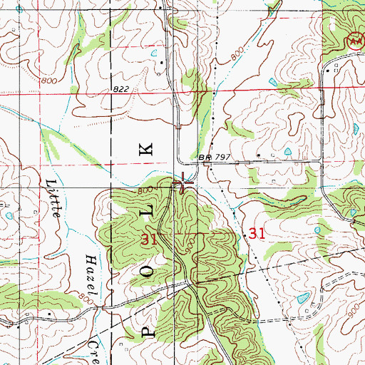 Topographic Map of Buck Branch, MO