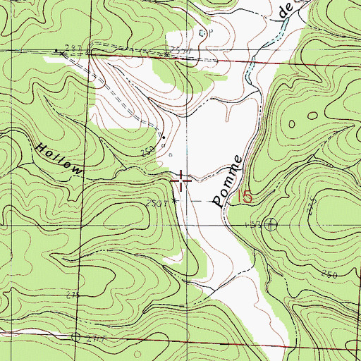 Topographic Map of Buck Hollow, MO