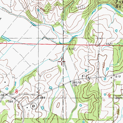Topographic Map of Buckhorn Hollow, MO