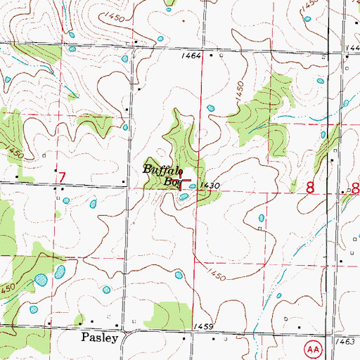 Topographic Map of Buffalo Bog, MO